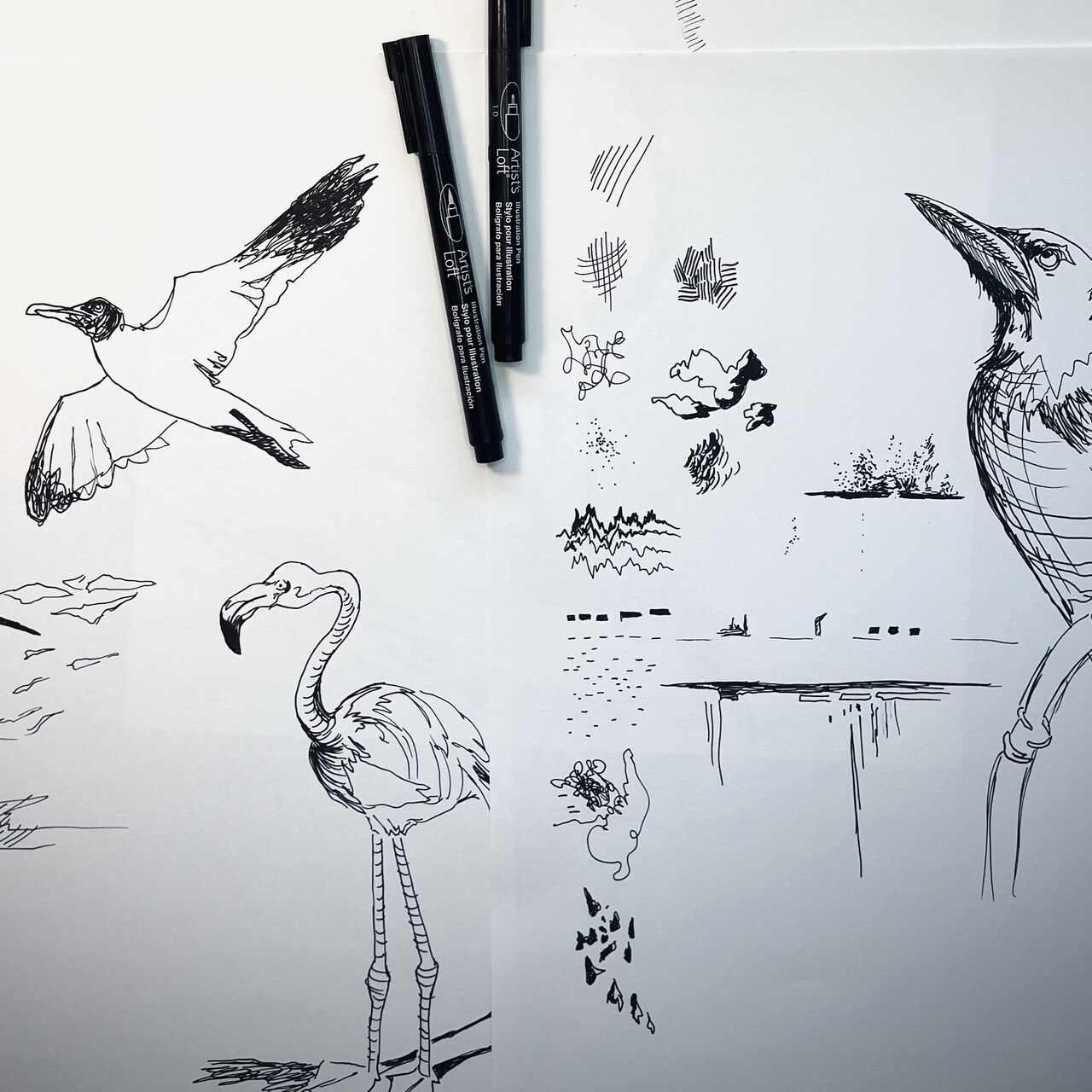 Art in August | Contour Line & Expressive Mark Making Using Pen & Ink